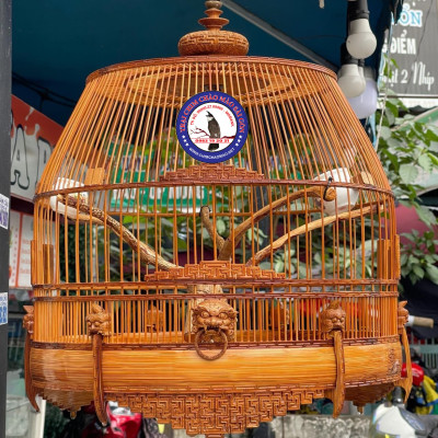 Lồng Chum Chào Mào - Chống ngoái ngước